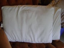 Two Standard Pillows (No Pillow Cases) in Conroe, Texas